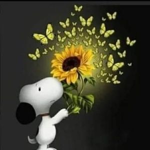 Meet your Posher, Liz